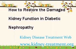 How to Restore the Damaged Kidney Function in Diabetic Nephropathy