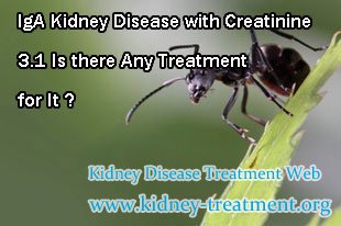 IgA Kidney Disease with Creatinine 3.1 Is there Any Treatment for It