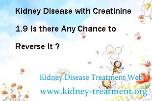 Kidney Disease with Creatinine 1.9 Is there Any Chance to Reverse It