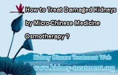 How to Treat Damaged Kidneys by Micro-Chinese Medicine Osmotherapy