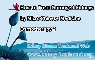 CKD treatment,How to Treat Damaged Kidneys,Micro-Chinese Medicine Osmotherapy