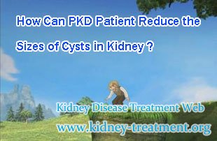 How Can PKD Patient Reduce the Sizes of Cysts in Kidney