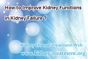 How to Improve Kidney Functions in Kidney Failure