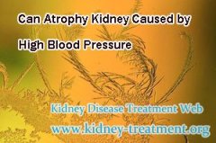 Can Atrophy Kidney Caused by High Blood Pressure