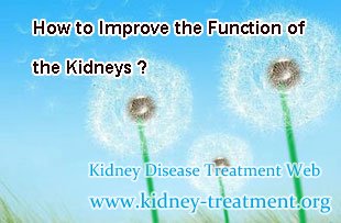 How to Improve the Function of the Kidneys