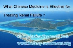 What Chinese Medicine is Effective for Treating Renal Failure