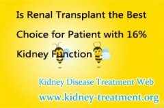 Is Renal Transplant the Best Choice for Patient with 16% Kidney Function