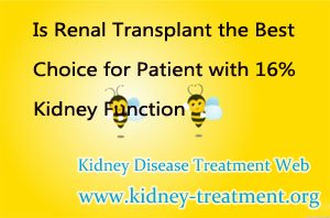 Is Renal Transplant the Best Choice for Patient with 16% Kidney Function