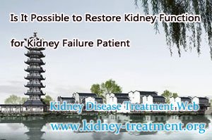 Is It Possible to Restore Kidney Function for Kidney Failure Patient
