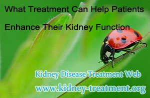 What Treatment Can Help Patients Enhance Their Kidney Function