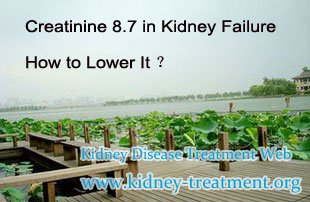 Creatinine 8.7 in Kidney Failure How to Lower It