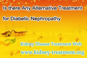 Is there Any Alternative Treatment for Diabetic Nephropathy