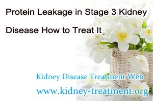Protein Leakage in Stage 3 Kidney Disease How to Treat It