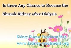 Is there Any Chance to Reverse the Shrunk Kidney after Dialysis