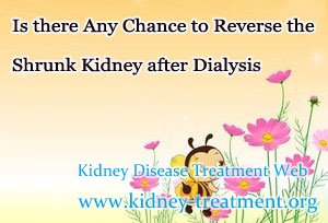 Is there Any Chance to Reverse the Shrunk Kidney after Dialysis