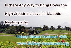 Is there Any Way to Bring Down the High Creatinine Level in Diabetic Nephropathy