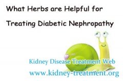 What Herbs are Helpful for Treating Diabetic Nephropathy