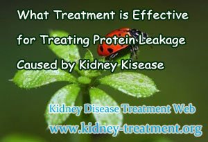 What Treatment is Effective for Treating Protein Leakage Caused by Kidney Kisease