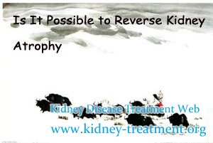 Is It Possible to Reverse Kidney Atrophy