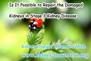 Is It Possible to Repair the Damaged Kidneys in Stage 3 Kidney Disease