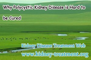 Why Polycystic Kidney Disease is Hard to be Cured