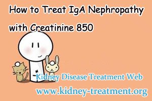 How to Treat IgA Nephropathy with Creatinine 850