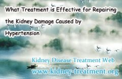 What Treatment is Effective for Repairing the Kidney Damage Caused by Hypertension