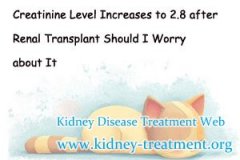 Creatinine Level Increases to 2.8 after Renal Transplant Should I Worry about It