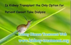 Is Kidney Transplant the Only Option for Patient Cannot Take Dialysis