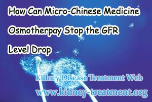 How Can Micro-Chinese Medicine Osmotherpay Stop the GFR Level Drop