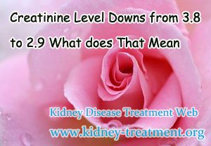 Creatinine Level Downs from 3.8 to 2.9 What does That Mean
