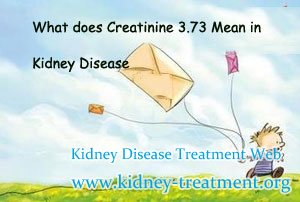 What does Creatinine 3.73 Mean in Kidney Disease