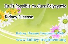 Is It Possible to Cure Polycystic Kidney Disease