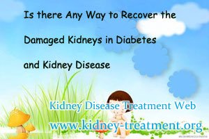 Is there Any Way to Recover the Damaged Kidneys in Diabetes and Kidney Disease
