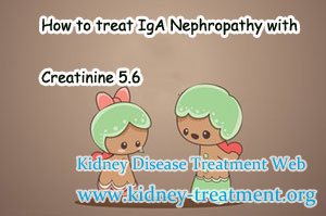 How to treat IgA Nephropathy with Creatinine 5.6