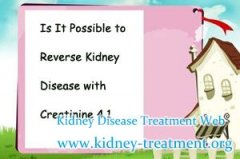 Is It Possible to Reverse Kidney Disease with Creatinine 4.1