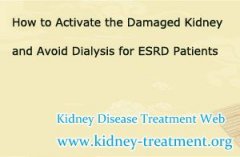 How to Activate the Damaged Kidney And Avoid Dialysis for ESRD Patients