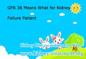 GFR 36 Means What for Kidney Failure Patient
