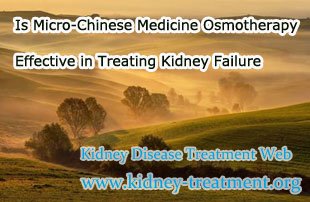 Is Micro-Chinese Medicine Osmotherapy Effective in Treating Kidney Failure