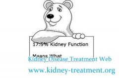 17.5% Kidney Function Means What for Kidney Failure Patient