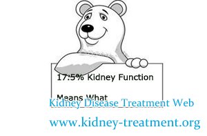 17.5% Kidney Function Means What for Kidney Failure Patient