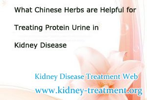 What Chinese Herbs are Helpful for Treating Protein Urine in Kidney Disease