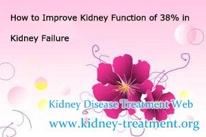 How to Improve Kidney Function of 38% in Kidney Failure