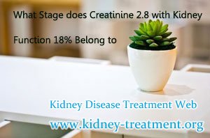 What Stage does Creatinine 2.8 with Kidney Function 18% Belong to