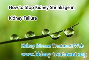 How to Stop Kidney Shrinkage in Kidney Failure