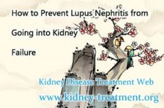 How to Prevent Lupus Nephritis from Going into Kidney Failure