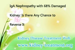 IgA Nephropathy with 68% Damaged Kidney: Is there Any Chance to Reverse It