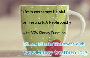 Is Immunotherapy Helpful for Treating IgA Nephropathy with 36% Kidney Function