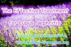 What Is The Effective Treatment for Chronic Lupus Nephritis