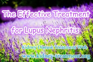 What Is The Effective Treatment for Chronic Lupus Nephritis